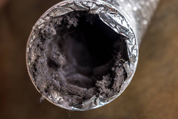 Best Duct Cleaning for Homes  in Quarryville, PA